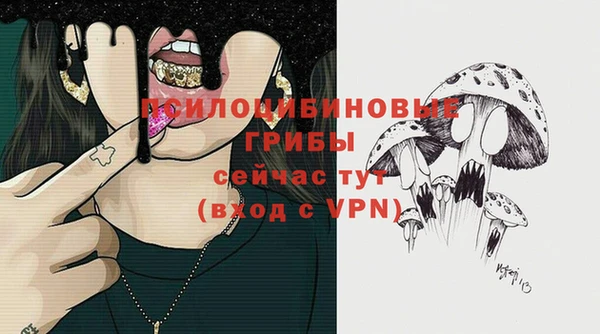 круглые Дмитровск