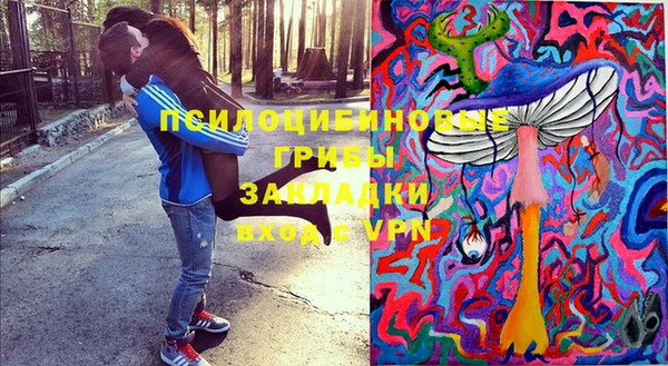 прущие крисы Алексин