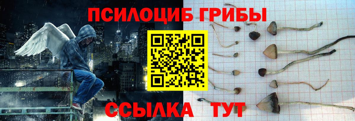 Галлюциногенные грибы MAGIC MUSHROOMS  Псилоцибиновые грибы мицелий  Вход с VPN  Полысаево 