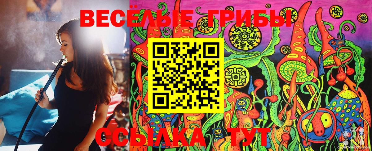 Псилоцибиновые грибы Psilocybe Полысаево